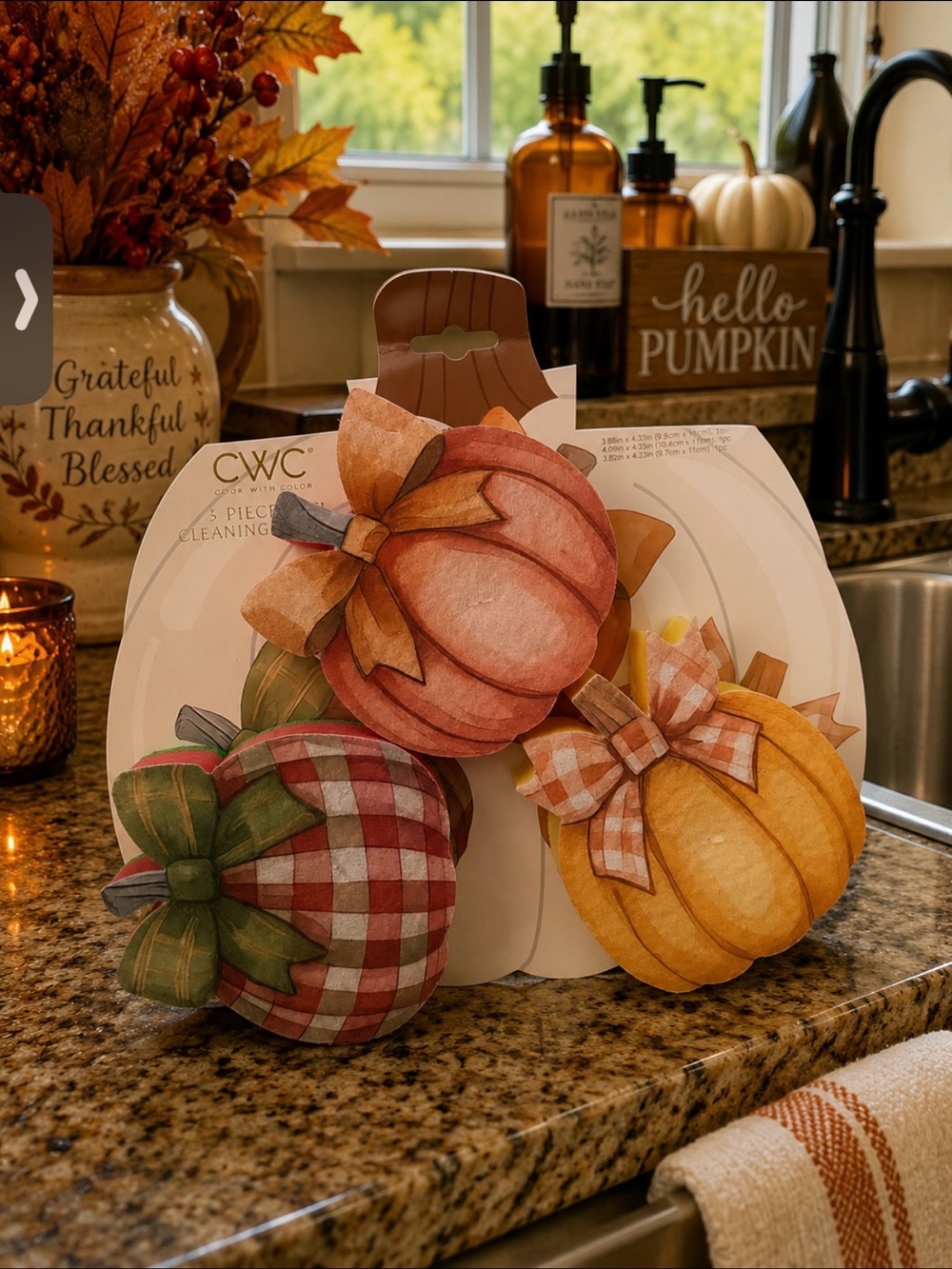 3-Piece Pumpkin Dish Cleaning Sponge Set | Fall Kitchen Decor | NWT